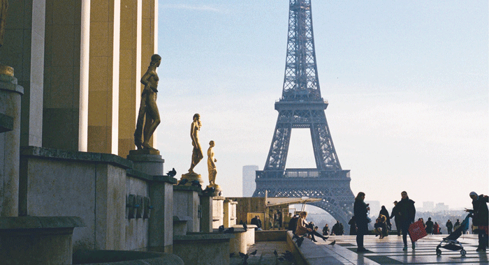 威斯尼斯wns888入口(中国游)官方网站